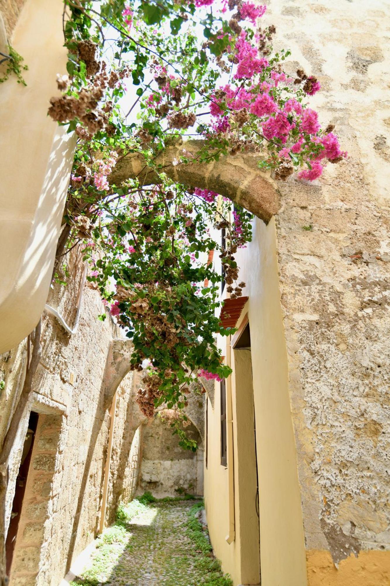 Penelope Garden House Old Town Apartman Rhodes City Kültér fotó