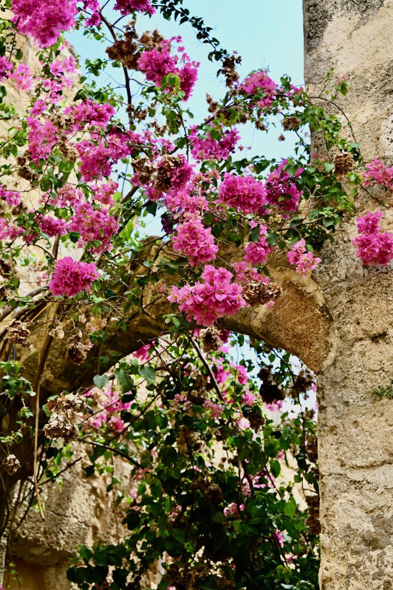 Penelope Garden House Old Town Apartman Rhodes City Kültér fotó