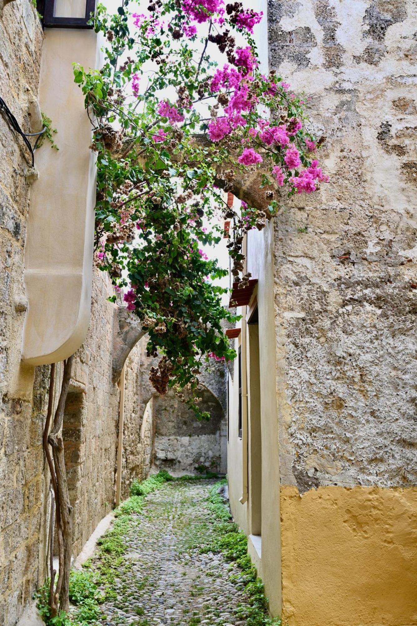 Penelope Garden House Old Town Apartman Rhodes City Kültér fotó